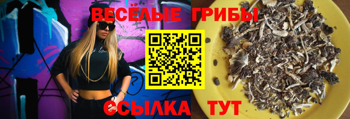 Псилоцибиновые грибы Psilocybine cubensis Малгобек