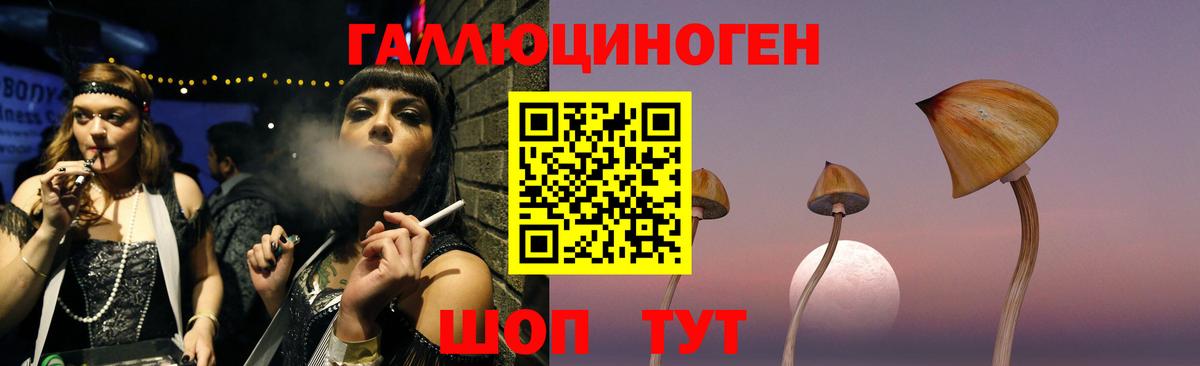 Псилоцибиновые грибы прущие грибы  Вход с VPN  Малгобек 